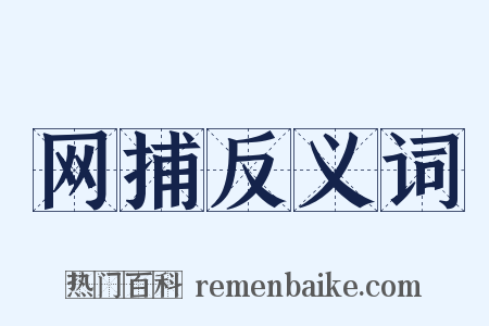 网捕反义词是什么意思的图片